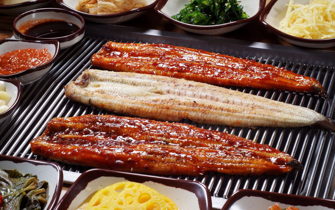 被吃成濒危物种的鱼,被人吃到濒临灭绝的野生动物