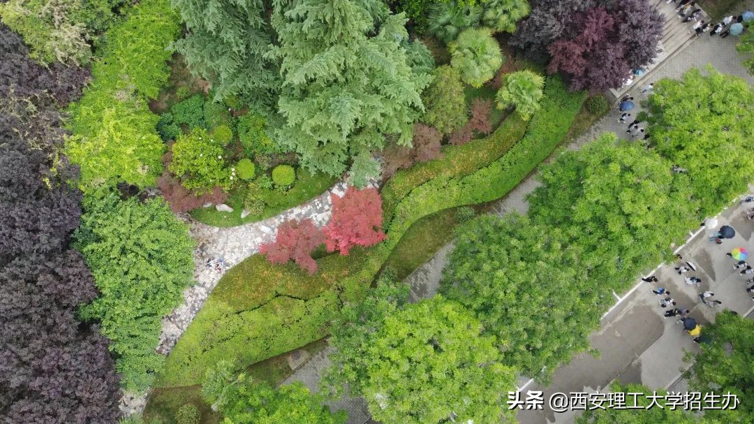 高校绿色学校创建工作总结,绿色学校创建行动方案四川高校