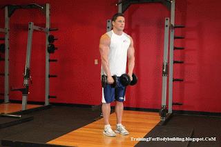 新人健身房健身一周训练计划,新手家庭健身一周训练计划