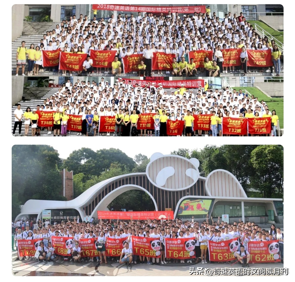 孩子报名奇速英语夏令营九岁,成都奇速英语夏令营的优势