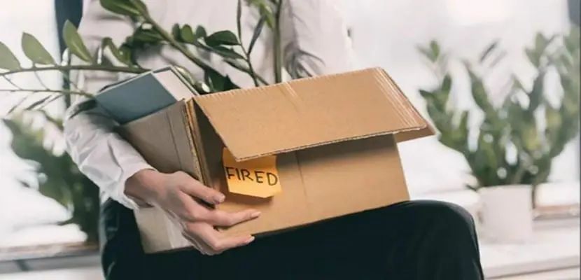 身家上亿如今却无奈裁员*身卖**！跨境卖家如何在家居道路上破茧重生