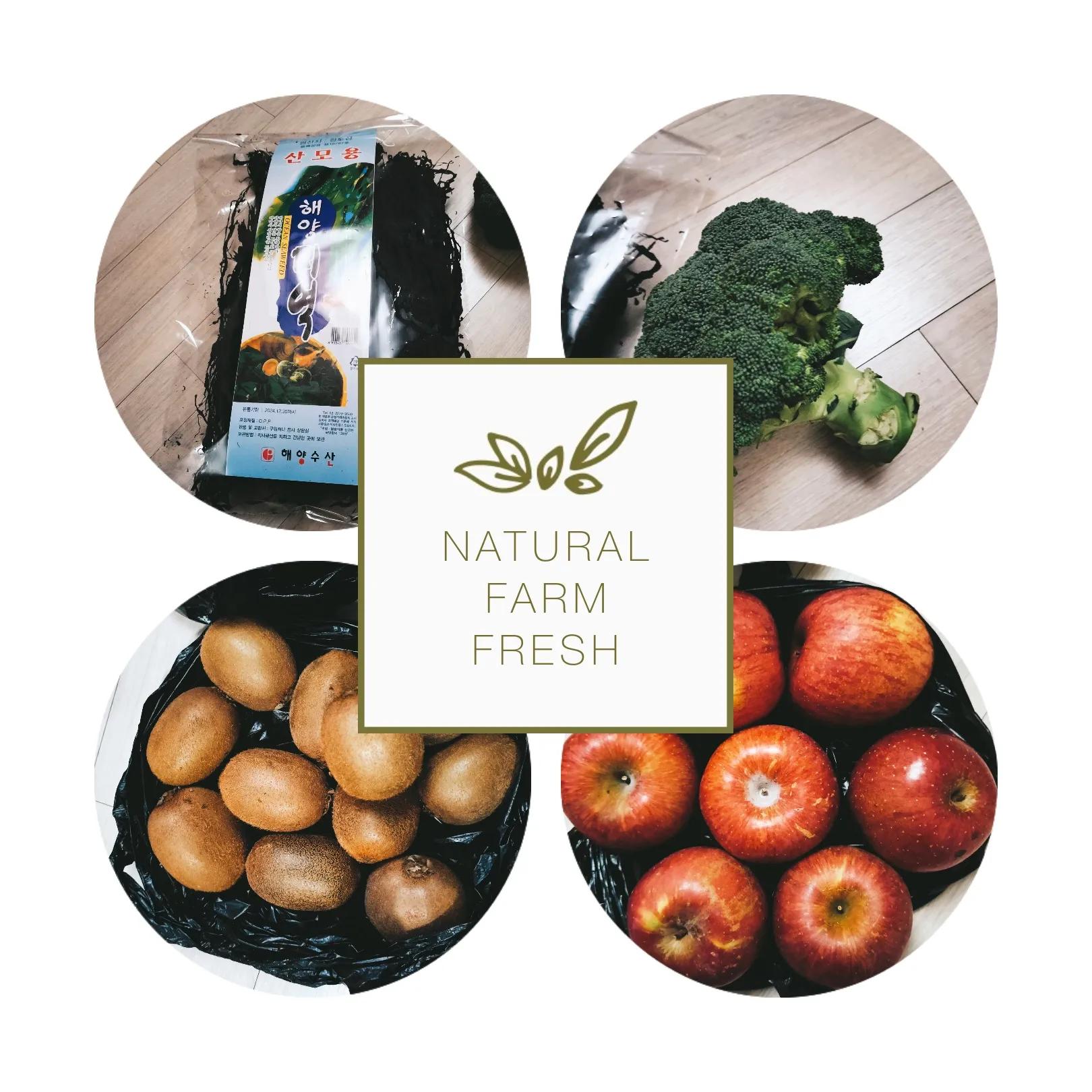 10万韩国留学费用,10天花多少钱