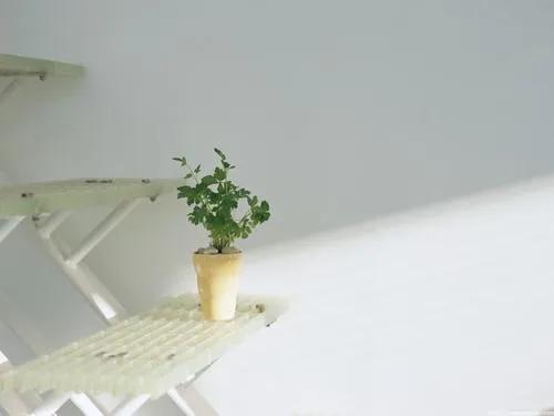 情商比智商更重要,情商比智商更重要吗英语作文