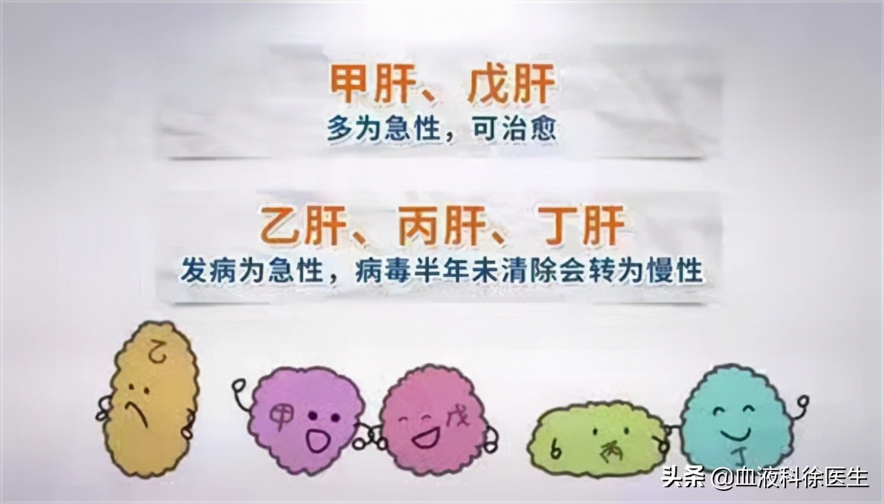 谷丙转氨酶91谷草转氨酶57严重吗,谷丙转氨酶与谷草转氨酶高怎么办