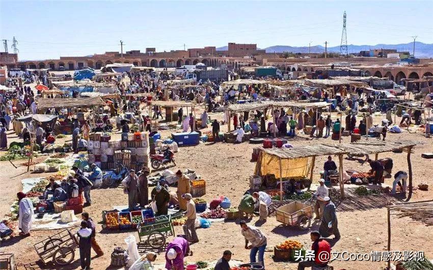 “颠覆”你“认知”的非洲市场，生猛海鲜超便宜
