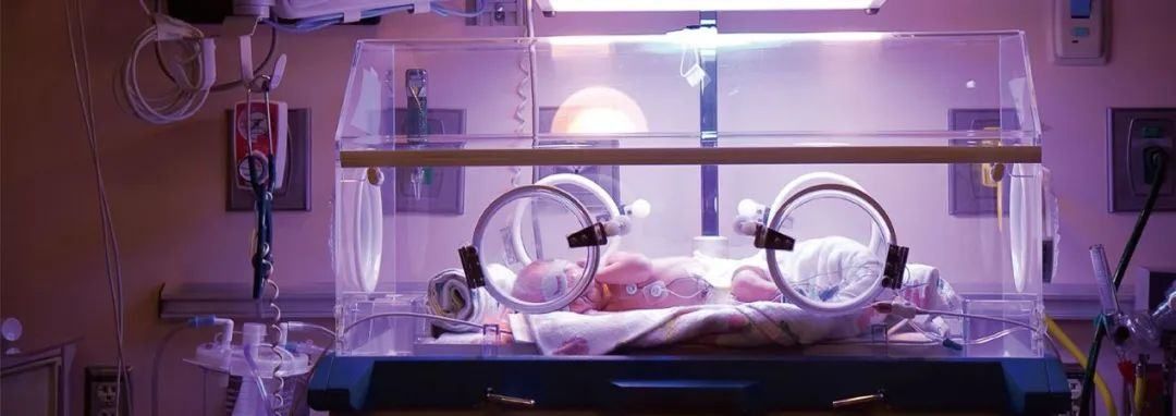 40岁女老板创首家一氧化氮“救命气”公司，明星机构抢投