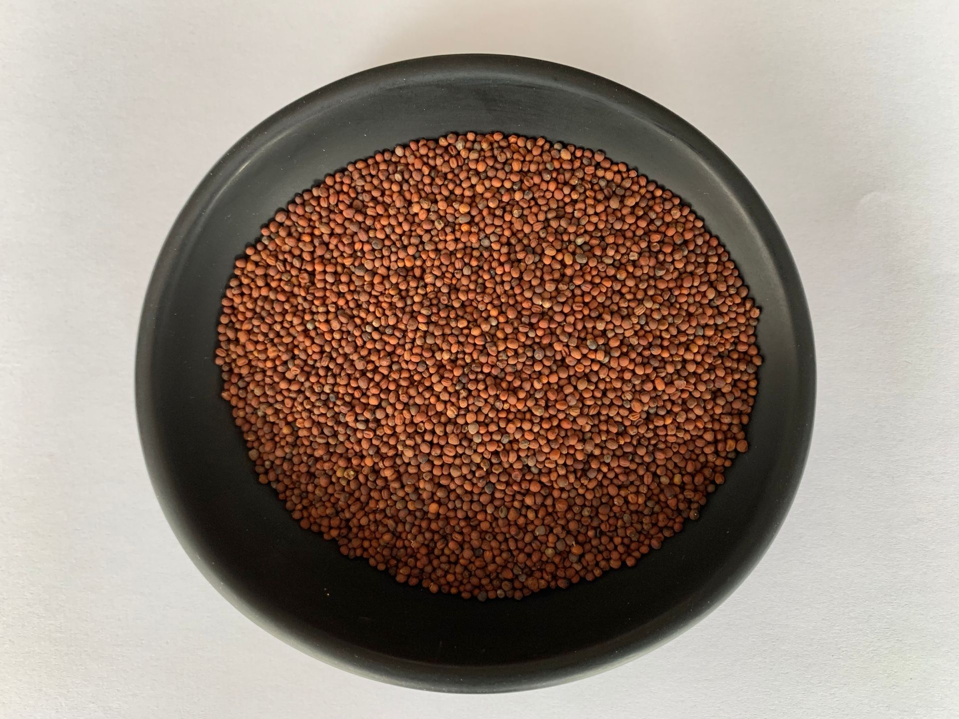 自己培育西兰花种子打破国外垄断,西兰花种子垄断