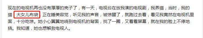 张译几几年结婚的,张译为何娶大6岁二婚妻子