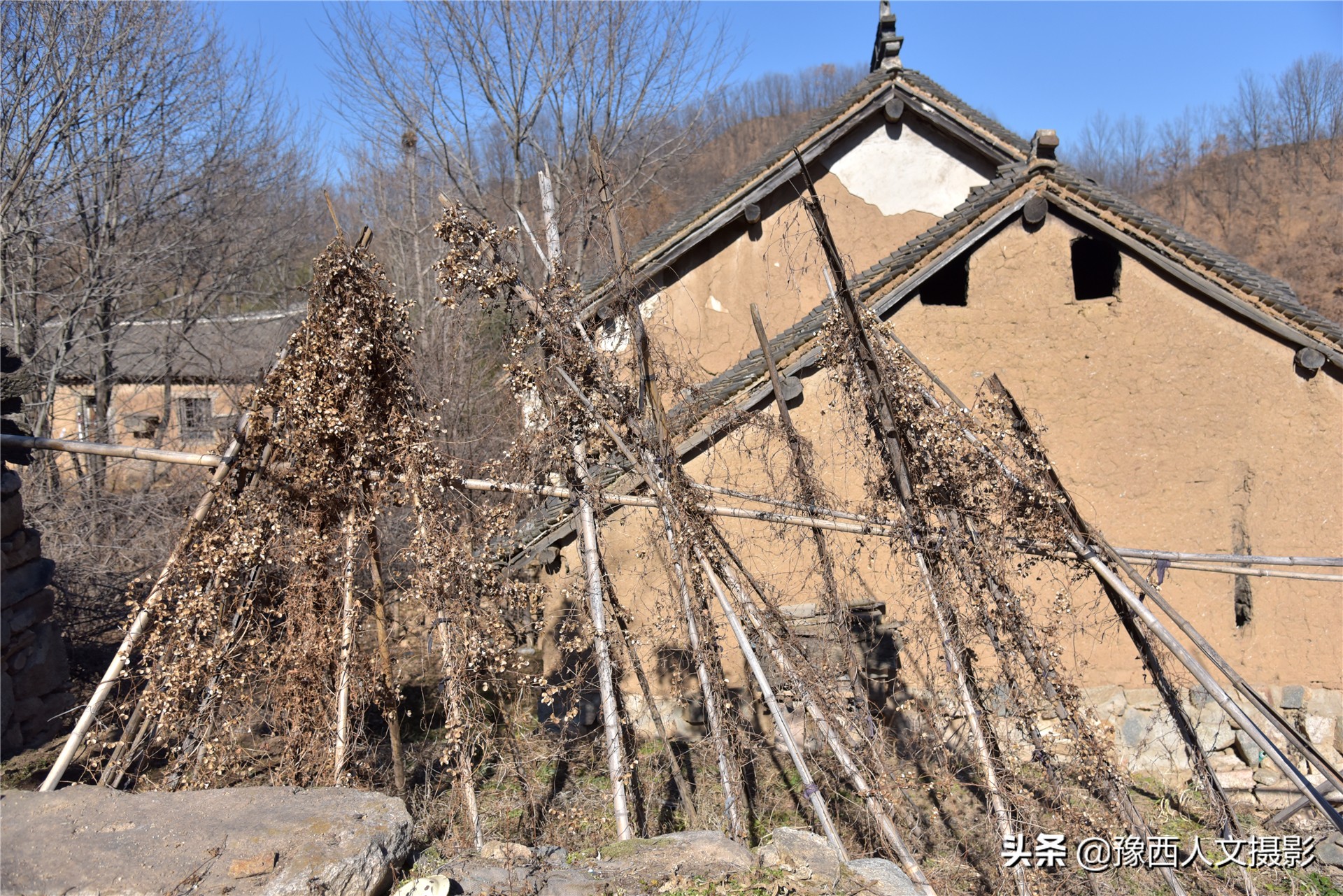 孤山坟墓葬在哪里好,孤山上的坟墓