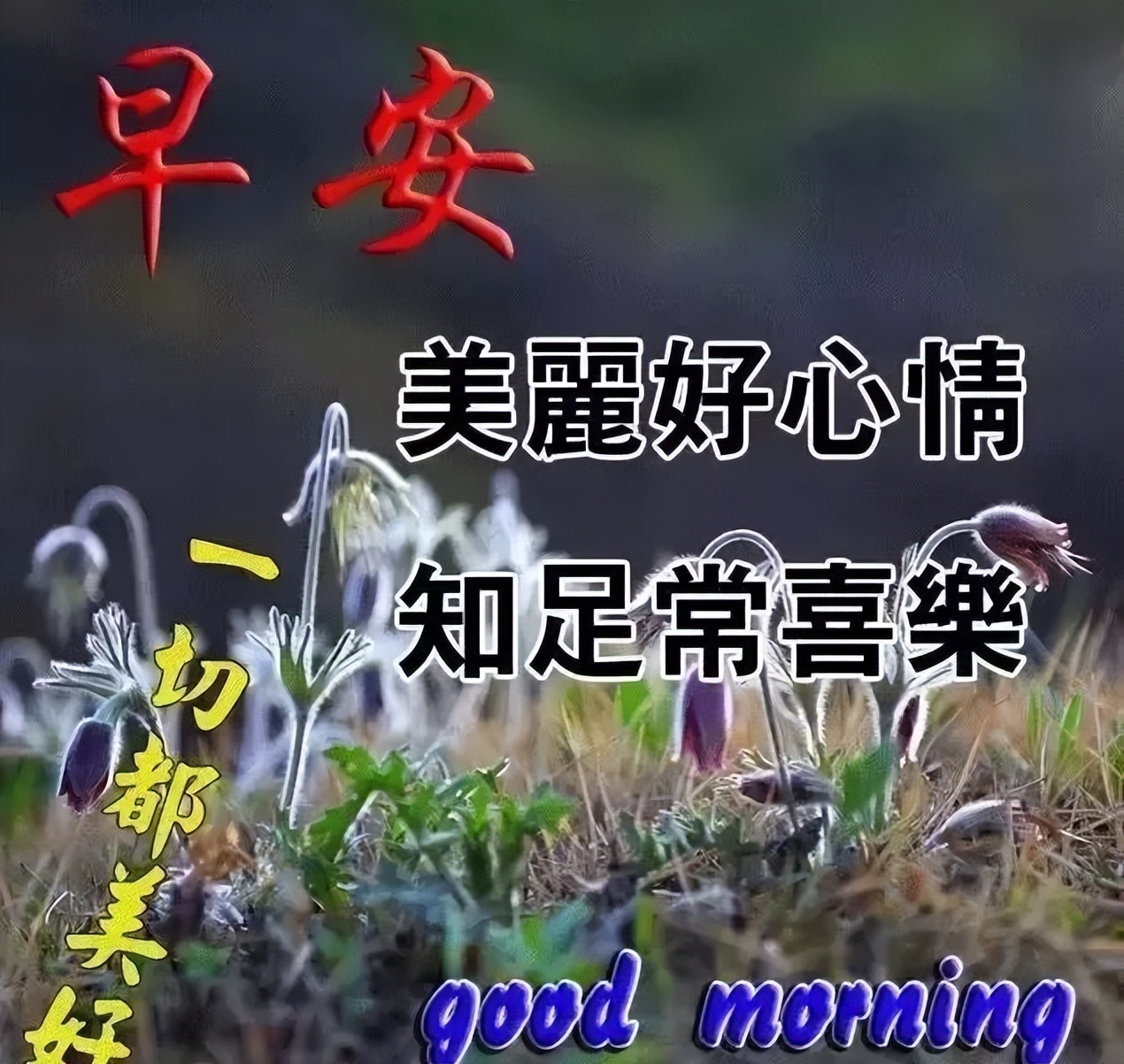 周日早上好温馨问候语图片,周末最暖心的早上好问候语