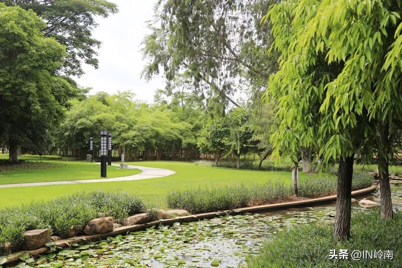 鎷晳浣犵殑澶忓,鎷晳浣犵殑澶忓ぉ