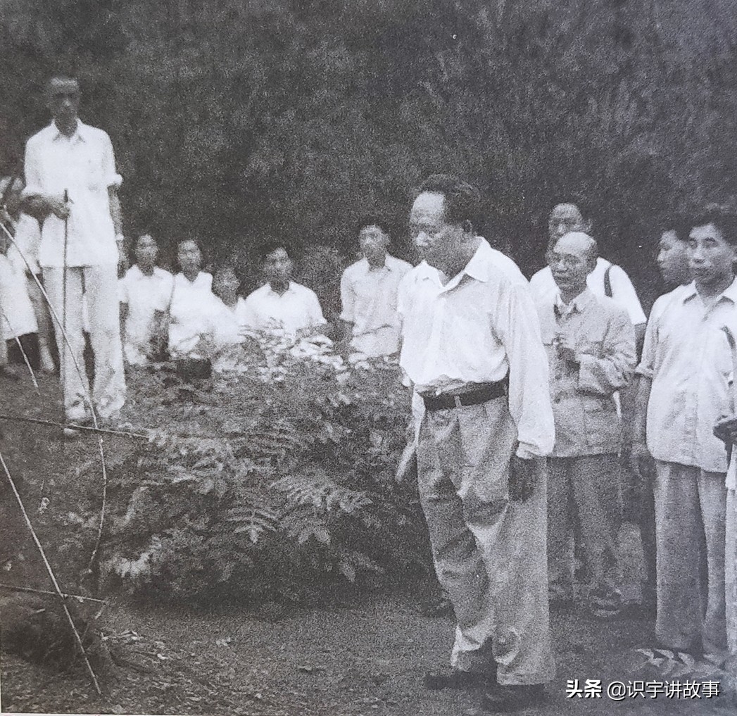 一次看个够！精心收集毛主席100张经典老照片，一起领略伟人风采