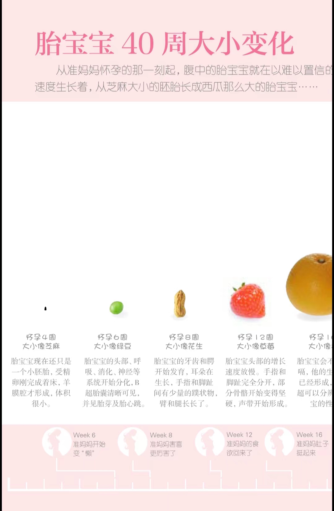 受孕着床期间要注意饮食吗,健康受孕注意事项和方法