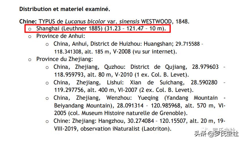 2022年第07期：闲话兜锹，上海本土锹甲的冷知识！|罗氏虫社