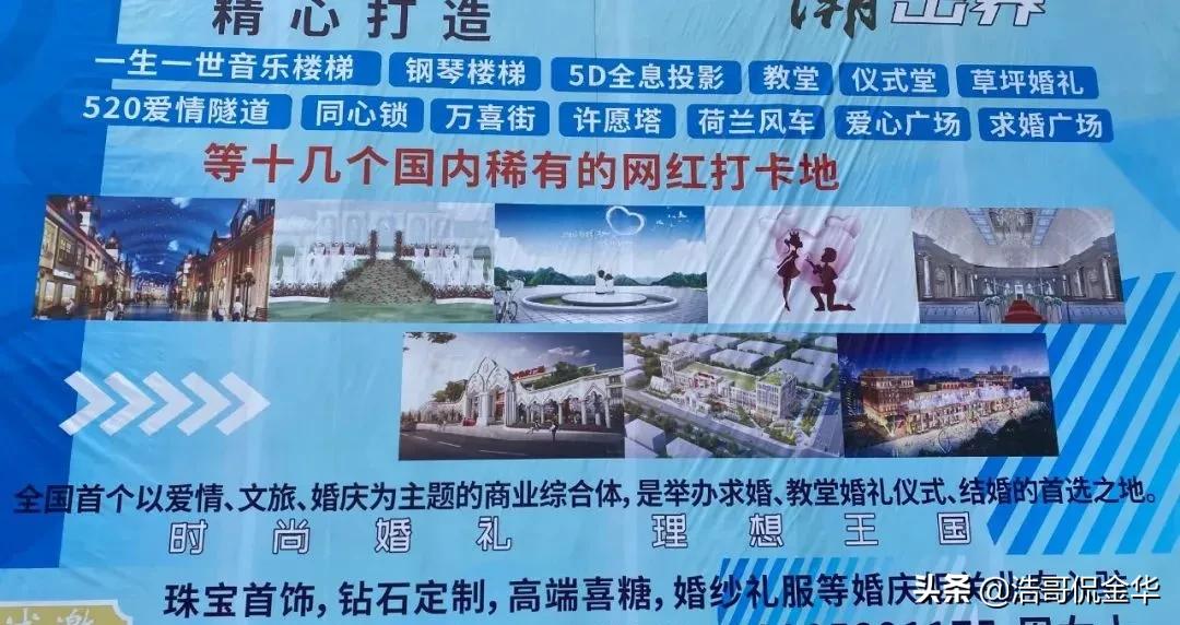 閲戝崕鍊掗棴浼佷笟,閲戝崕鍊掗棴鐨勭數鍔ㄨ溅浼佷笟