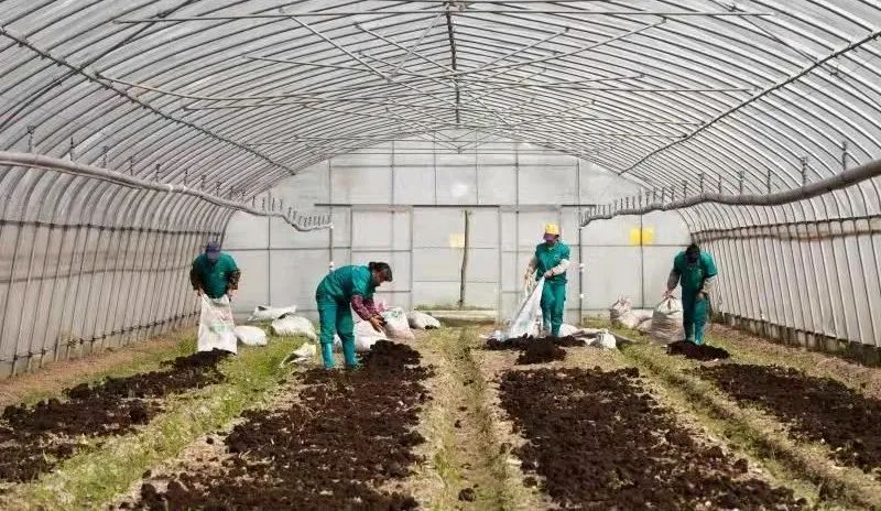 多利桃花源有机农庄,多利桃花源旅行