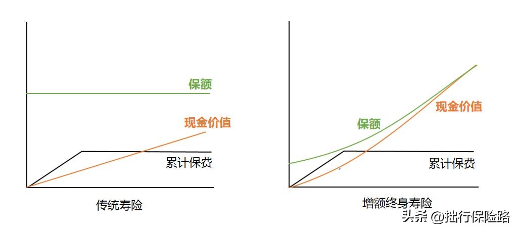 和泰人寿的增额终身寿靠谱不,增额终身寿和年金产品哪个好