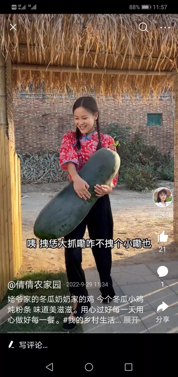 奶奶养的鸡逃了,奶奶养了两年没舍得吃的鸡