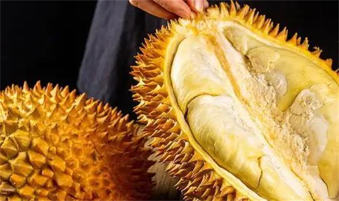 榴莲打开不熟硬的怎么补救,打开榴莲不熟要怎么放才能熟