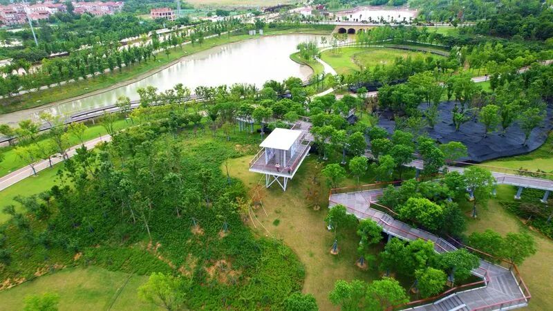 评选开启！快为新洲区的公园打call!