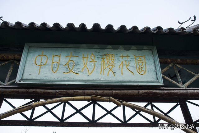 “中日友好”只不过是我们一厢情愿！盘点日本*华反**事件