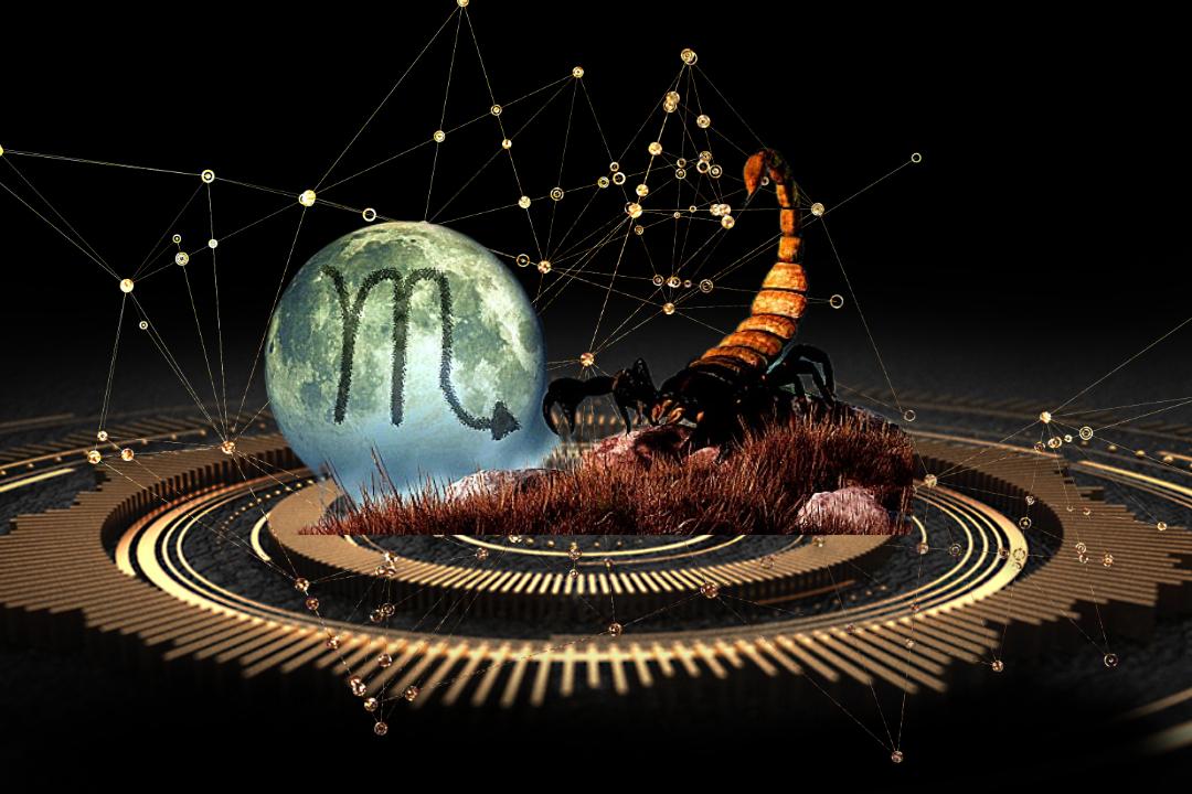 天蝎座容易成功的行业,近期天蝎座升职能成功吗