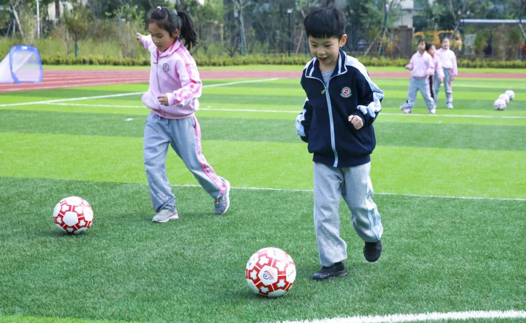 核心区教育,优质教育发展均衡区