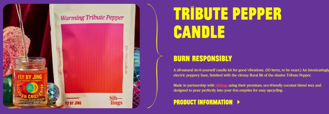 FlyByJing一年在海外卖出千万美金