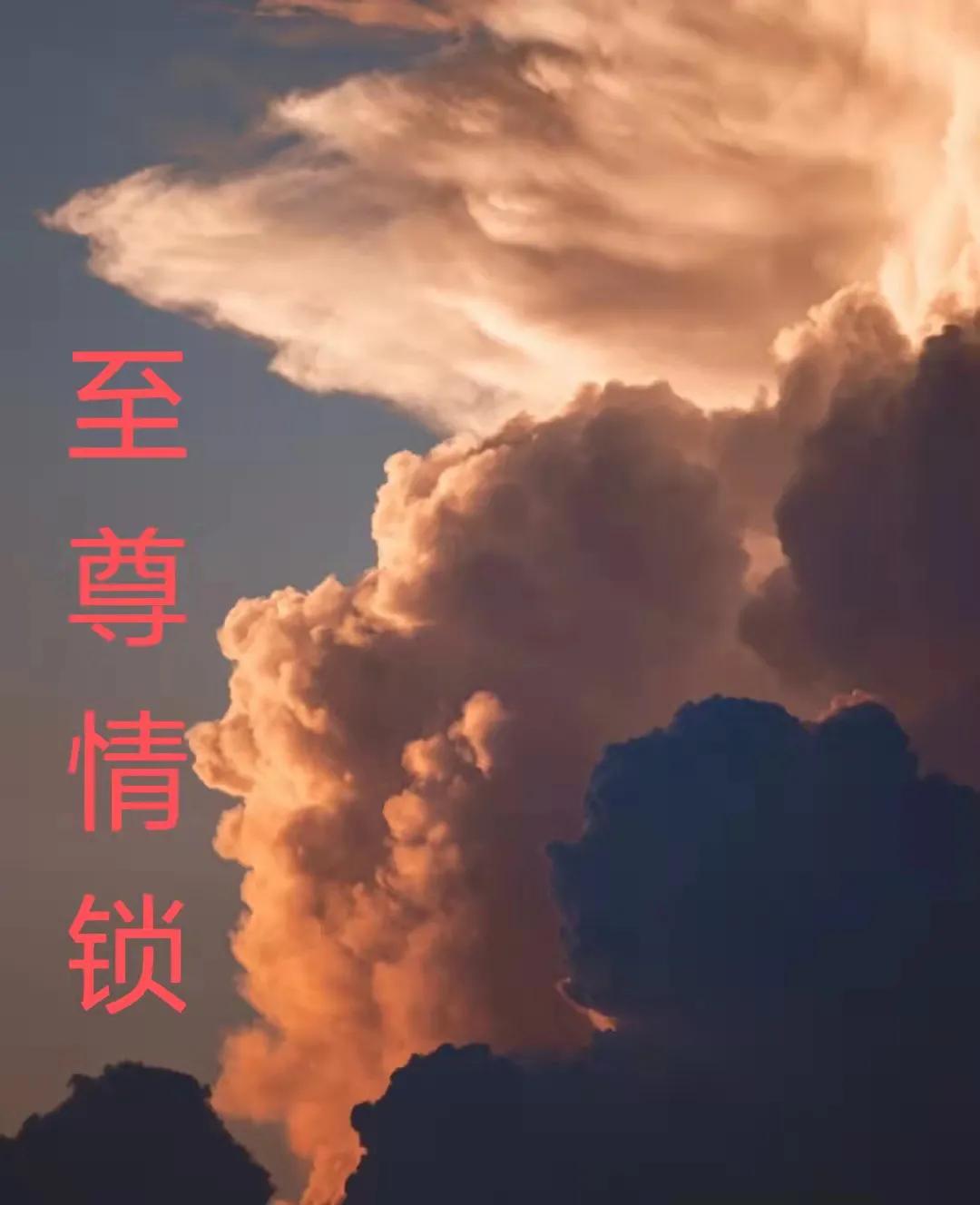 第一百七十七,第一百七十七章能赢在线阅读