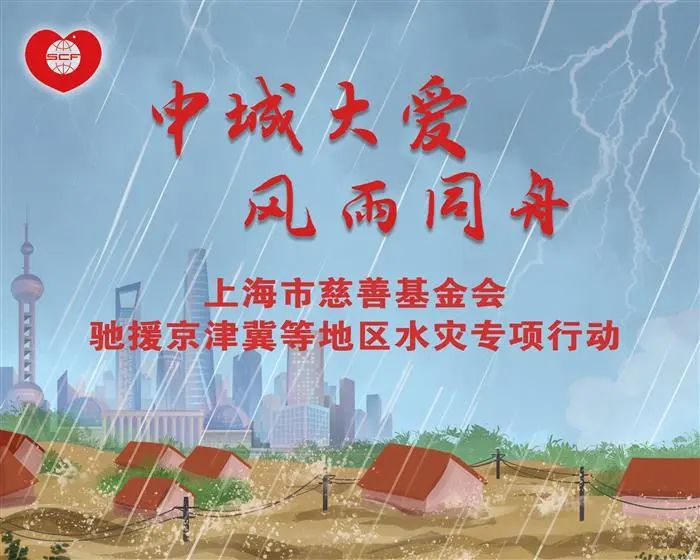 水灾爱心捐赠公益活动,2020年上海市慈善基金会捐款