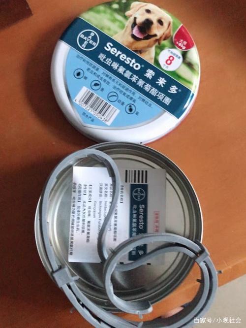 可以用杀虫剂喷狗狗身上杀跳蚤吗,怎样判断狗狗身上有没有携带跳蚤