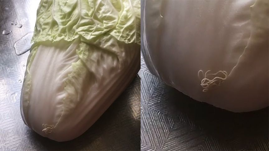 女子买白菜回家一掰开看见寄生虫,女子买草莓发现有虫子