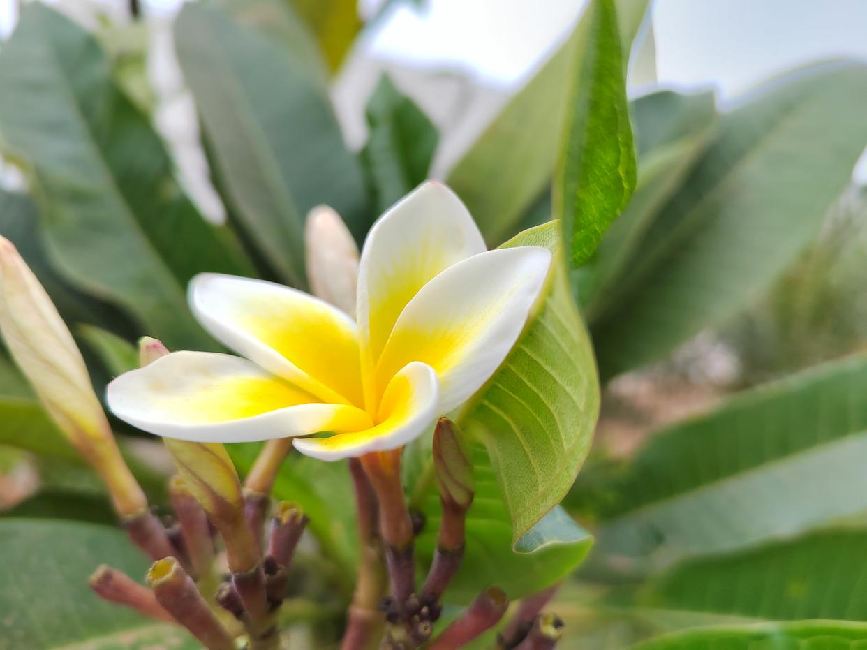 婚姻里什么才是女人的终极安全感,女人怎么样才能在婚姻里有安全感