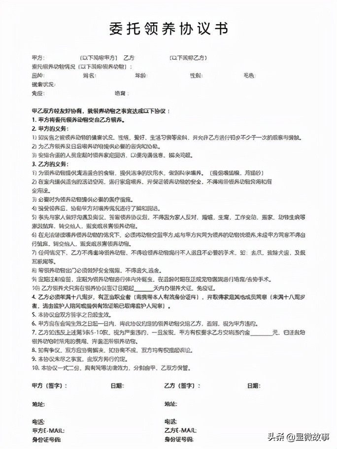 800元的布偶猫,800块钱宠物猫