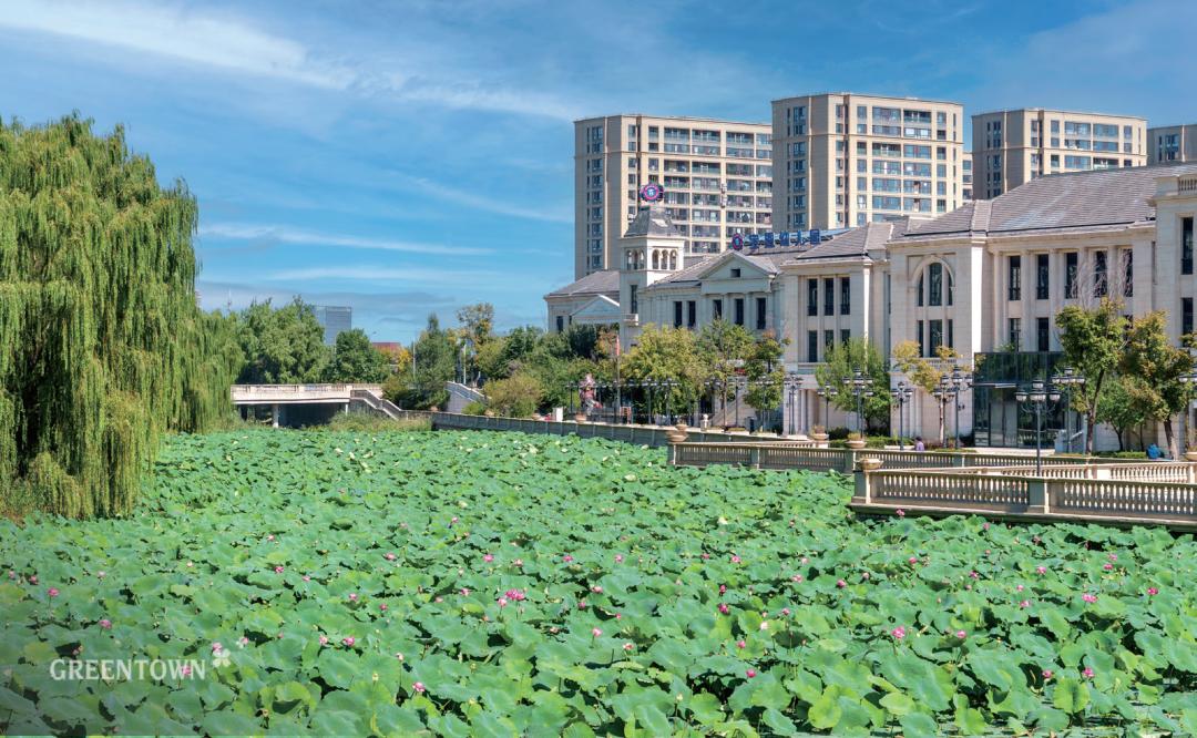 十二年的长情，致亲爱的沈阳