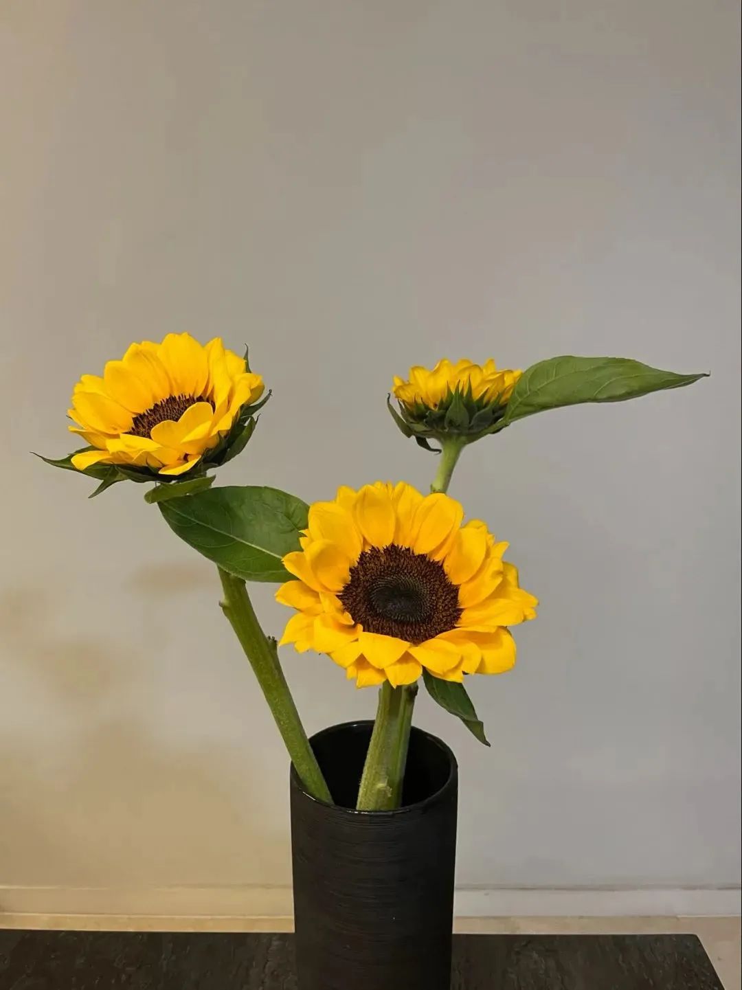 鲜花在水里能养几天会死,新加坡盆栽花卉怎么养