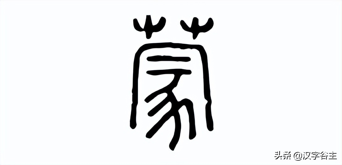 姹夊瓧妞嶇墿,鑽夋湪姹夊瓧