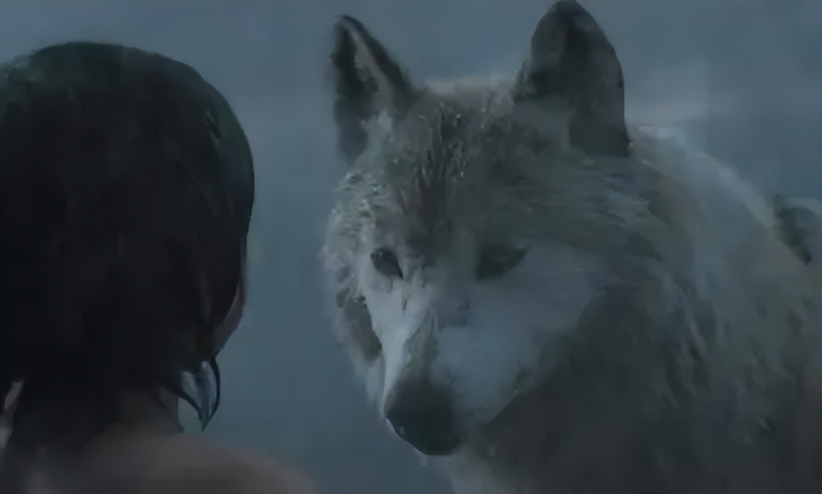 古埃及法老实验,埃及法老试验语言婴儿