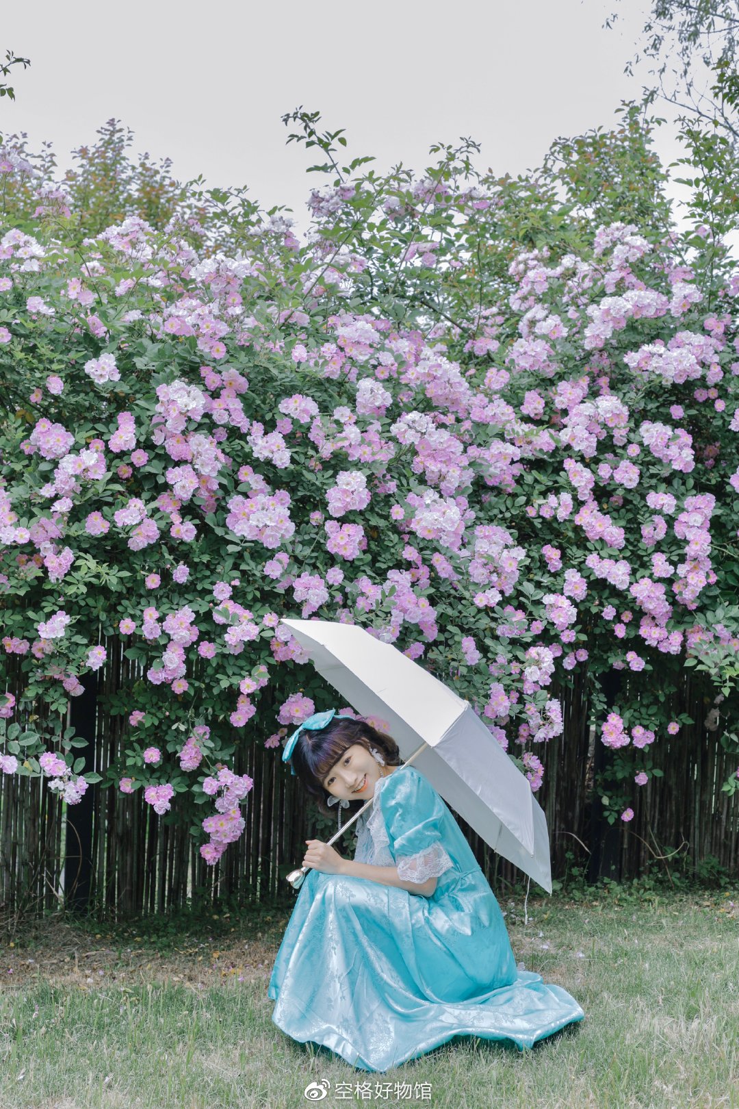 史上最惊艳的伞,防晒效果好又结实的伞推荐