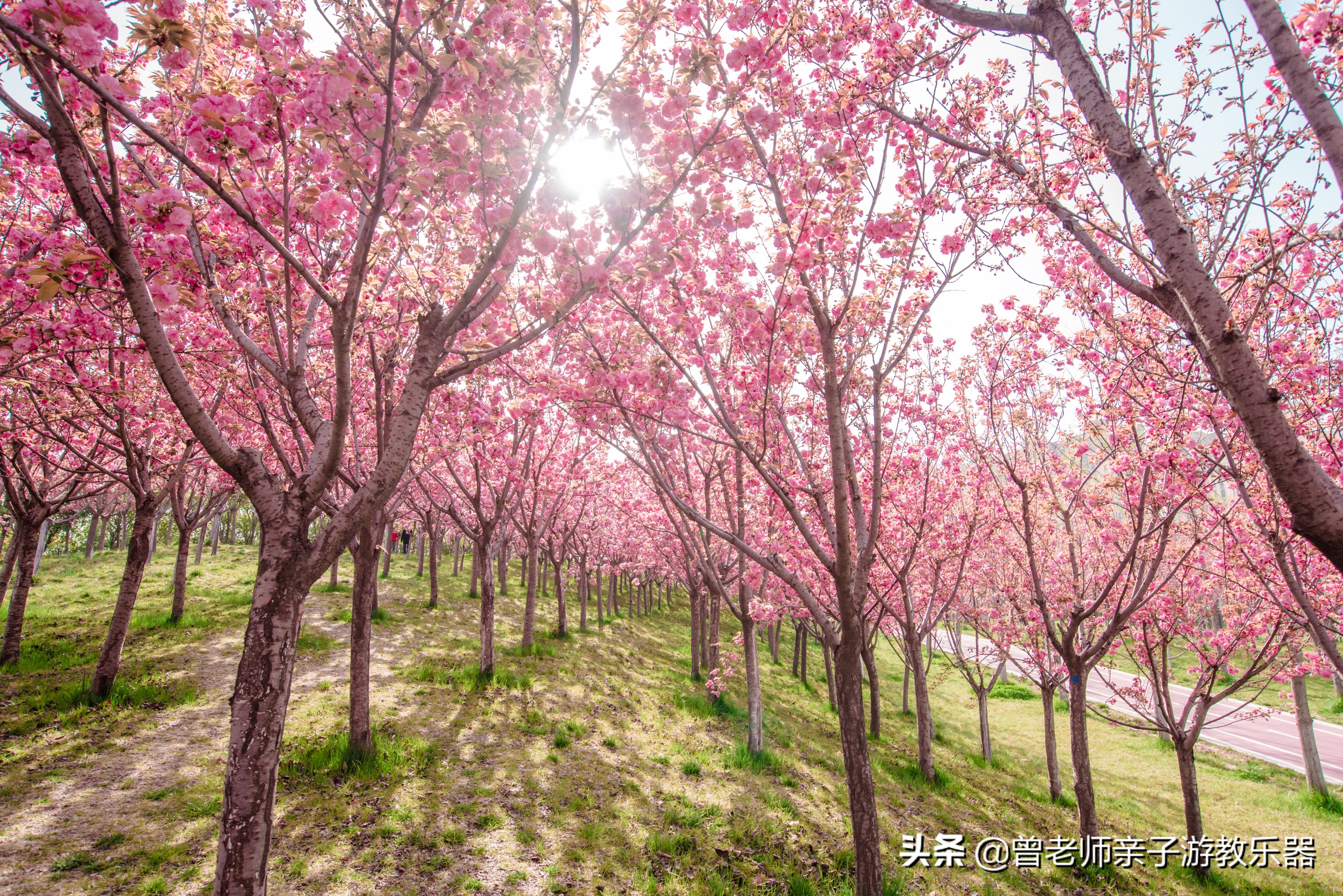 2022西安遛娃一日游的绝佳去处,2022年春节西安遛娃去哪玩最合适