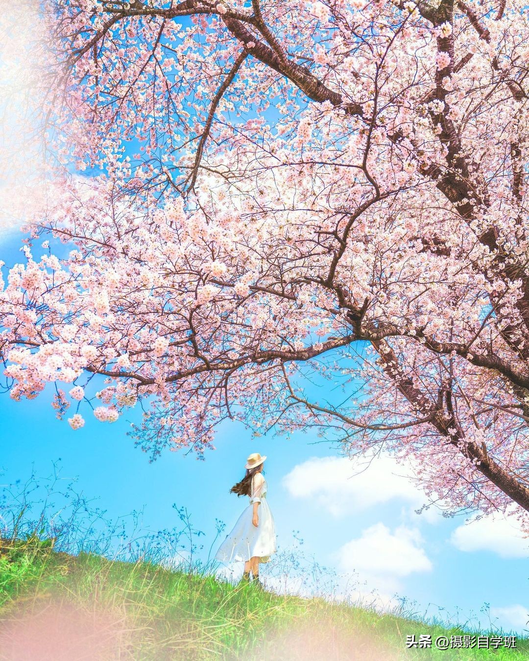 童话摄影拍摄技巧大全,童话风写真拍摄技巧