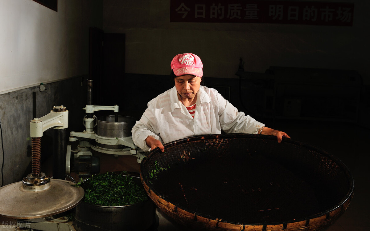 月光白云南白茶,云南月光白茶价格