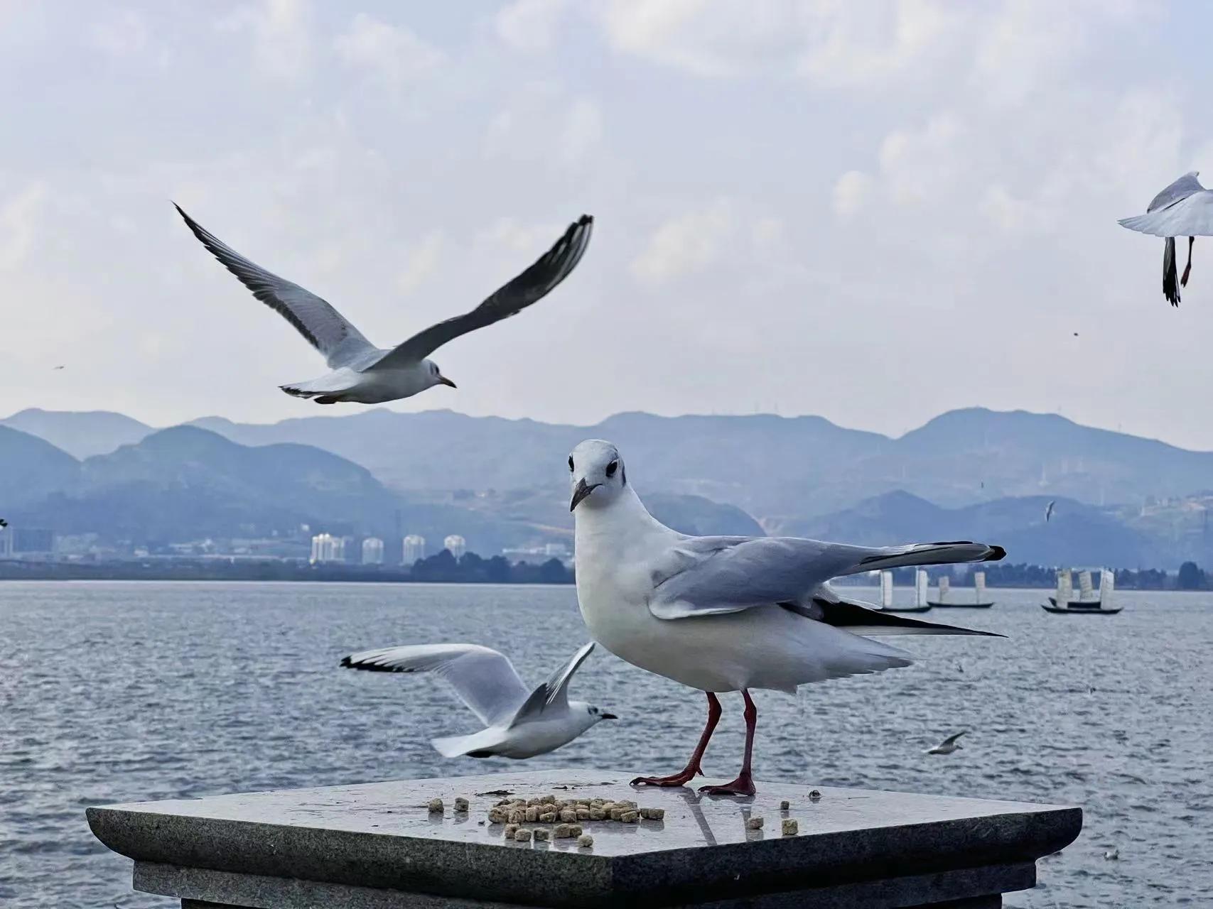 西双版纳10日行——走遍春夏秋冬，总会有人四季等你。