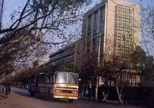 鑺滄箹鐏棬澶ф绾疄,鑺滄箹瑕佹渚︾牬绾疄