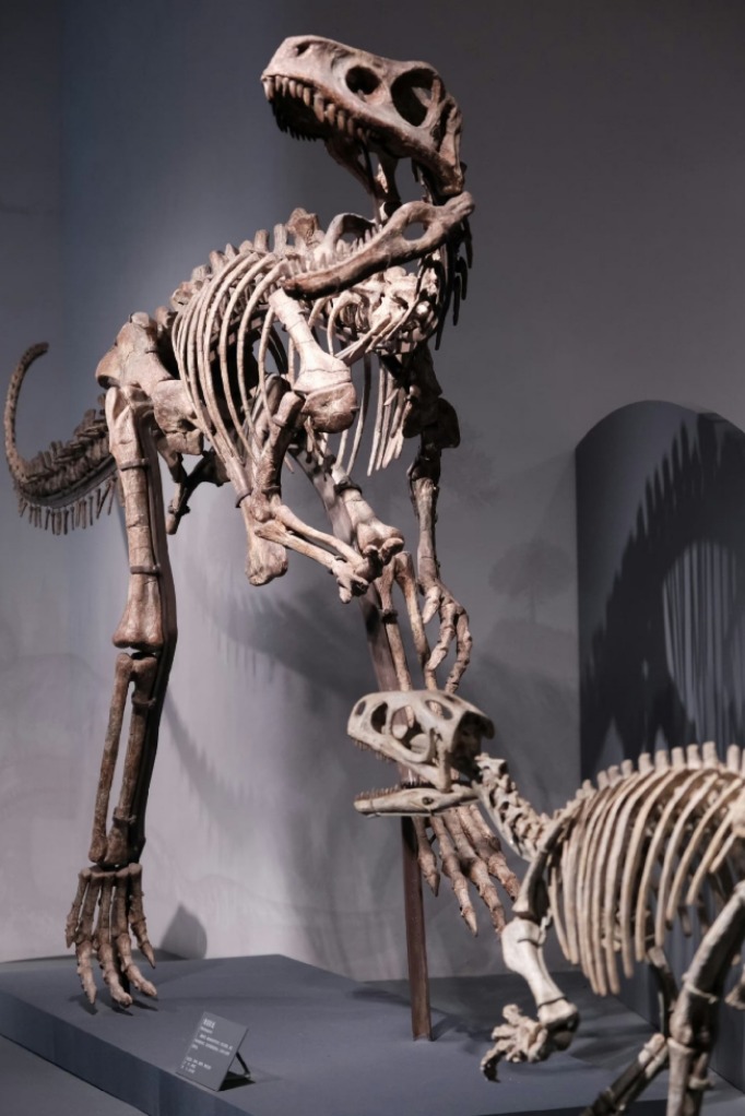 虽说长安不止三万里但独属自贡的三万里也值得一探