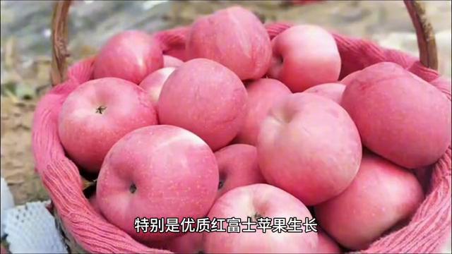 平凉市简介,甘肃省平凉市简介视频