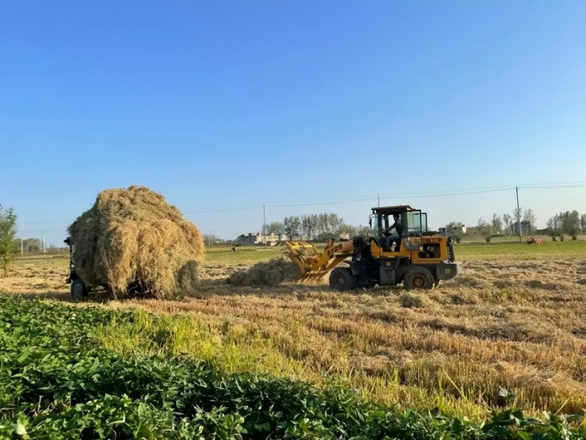 从大厂离职,上海大厂离职