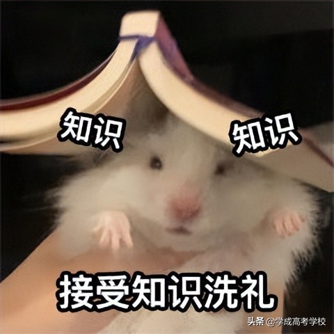 200条必考的英语固定搭配,高考英语300个固定搭配题