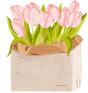 三八节巾帼绽芳华,巾帼绽芳华三八节医院演讲