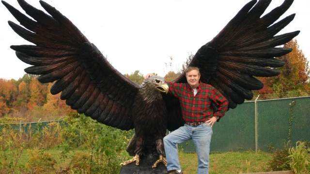 世界上最奇怪的十大鸟,世界上最恐怖的大鸟